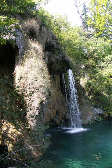 Obraz 110